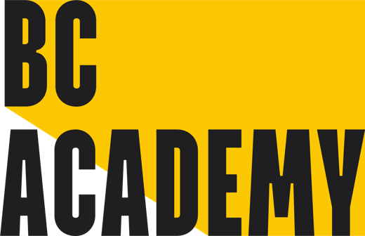 BC Academy International School and Nursery
